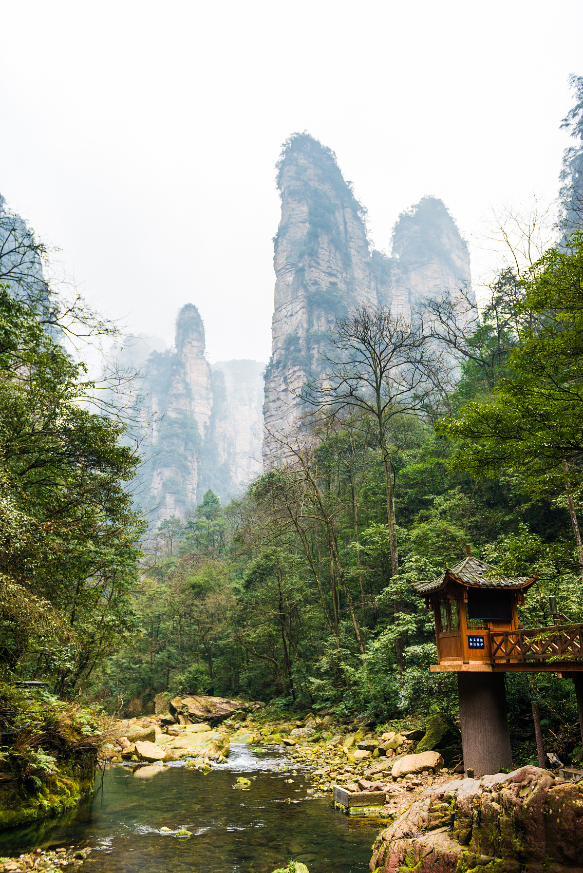 Paysage de Zhangjiajie